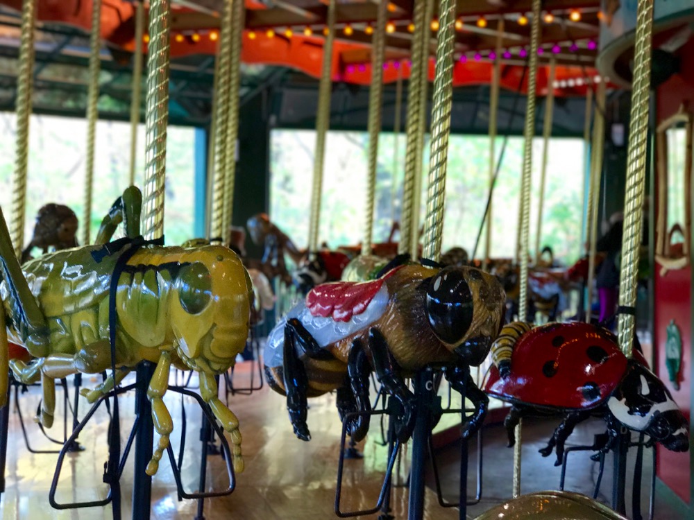 Bug Carousel del Bronx Zoo
